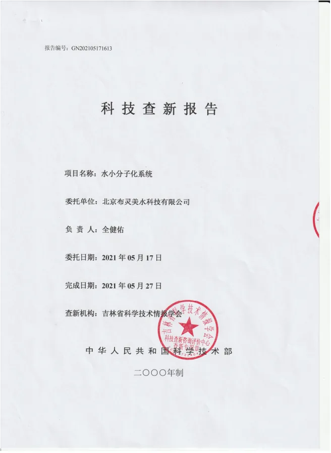 布灵美专利科技——“水小分子化系统”科技查新报告　配图 1